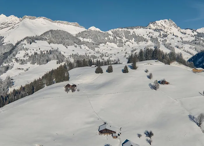 Chalet Le Lion Rouge