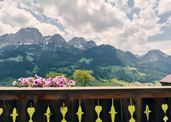 Шале Le Lion Rouge Ружмон