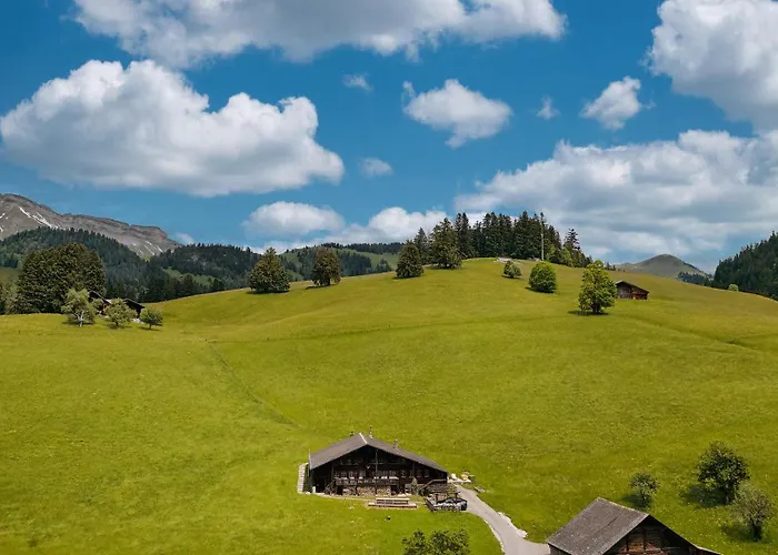 Le Lion Rouge Chalet